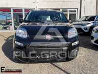 2022 Fiat Panda
