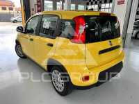2022 Fiat Panda