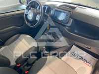 2022 Fiat Panda