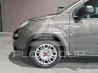 2023 Fiat Panda