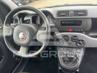 2023 Fiat Panda