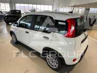 2023 Fiat Panda