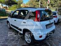 2023 Fiat Panda