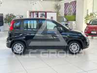 2023 Fiat Panda