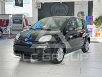 2023 Fiat Panda