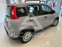 2023 Fiat Panda