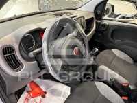 2023 Fiat Panda