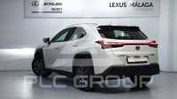 2023 Lexus UX