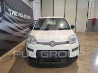 2024 Fiat Panda