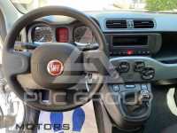 2024 Fiat Panda