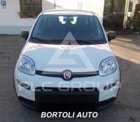 2024 Fiat Panda