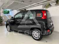 2024 Fiat Panda