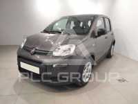 2024 Fiat Panda