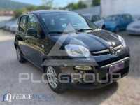 2024 Fiat Panda