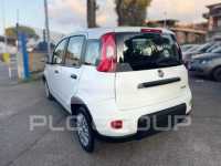 2024 Fiat Panda