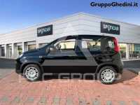 2024 Fiat Panda