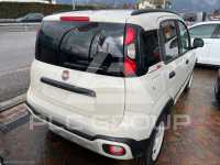2024 Fiat Panda