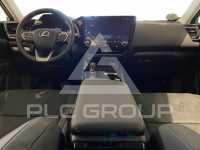 2024 Lexus NX