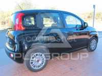 2022 Fiat Panda