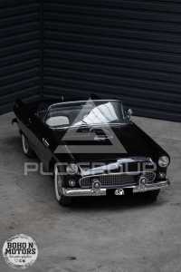 1955 Ford Thunderbird