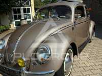 1955 Volkswagen 