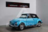 1973 Volkswagen 