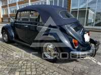1973 Volkswagen 