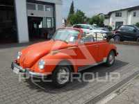 1973 Volkswagen 