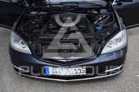 2009 Mercedes Benz S 450