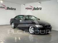 2010 BMW 320