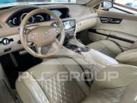 2010 Mercedes Benz CL 650