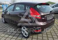 2010 Ford FIESTA