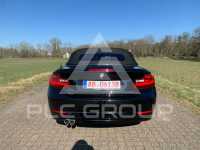2015 BMW 220