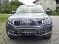 2019 Skoda Kodiaq