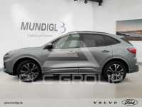 2023 Ford Kuga