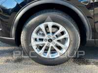 2024 Ford Kuga