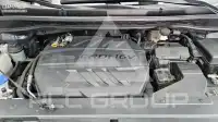 2019 KIA Carnival