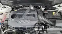 2020 KIA Seltos