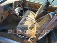 1977  фото
