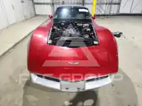 1981 Chevrolet Corvette photo