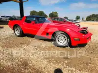 1981 Chevrolet Corvette photo