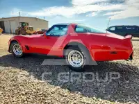 1981 Chevrolet Corvette photo