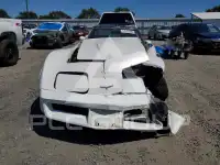 1981 Chevrolet Corvette фото