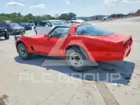 1981 Chevrolet Corvette photo