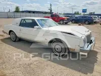 1981 Buick RIVIERA photo