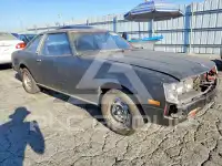 1981 Toyota CELICA photo