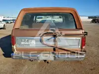 1981 Ford BRONCO фото