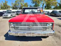 1983 Chevrolet C photo