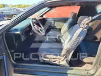1984 Chevrolet Camaro photo