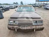1984 Dodge 600 фото